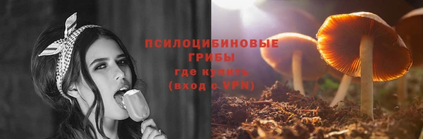 герыч Алексин