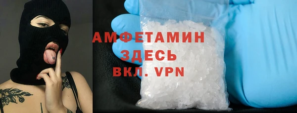 эйфоретик Вяземский
