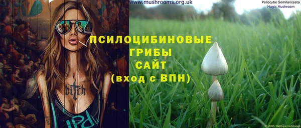 герыч Алексин